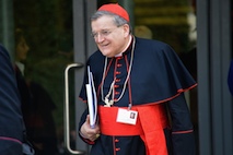 Cardinal Burke Synod